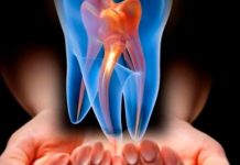 Investigadores integran banco de células madres dentales banco