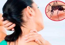 ¿Que hábitos reducen la posibilidad de contraer dengue? que habitos