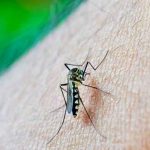 Dengue agresivo ataca en Paraguay y ya deja dos muertos paraguay