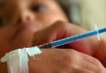 honduras, dengue, alerta epidemiologica, enfermedades,