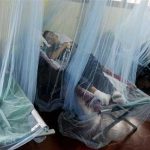 Sube a 151 la cifra de muertos por dengue grave en Honduras honduras