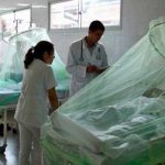 Suman ocho los fallecidos por dengue grave en Honduras en 2020 honduras