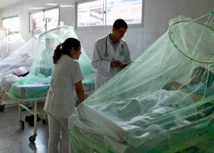 dengue-honduras-_jHxjpAU honduras