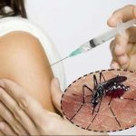 Un nuevo brote de dengue cobra la vida de 14 personas en Perú peru
