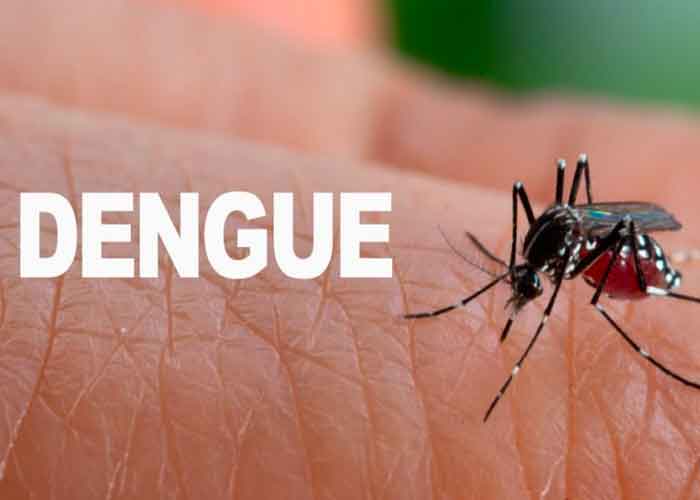 dengue-peru-_YD1w2hV peru