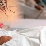 República Dominicana reporta 781 nuevos casos de dengue republica dominicana