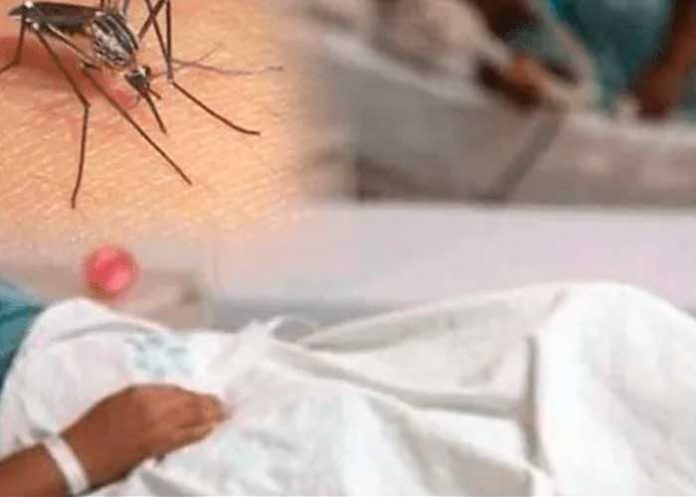 republica dominicana