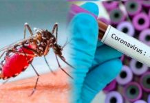 América enfrenta dos grandes epidemias, Coronavirus y dengue colombia