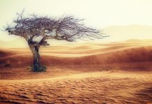 Reino Unido: Olas de calor regulares matarán a miles según científicos reino unido