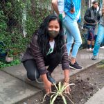jornada de reforestacion