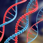 Estudio revela que diferencias genéticas entre humanos son ínfimas material genetico