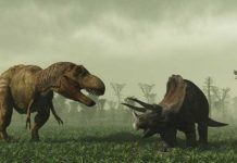 dinosaurios