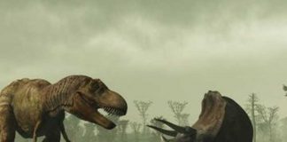 dinosaurios