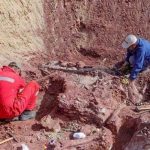 Hallan nueva especie de dinosaurio herbívoro en Argentina america del sur