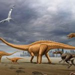 Descubren una desconocida especie de dinosaurio pico de pato en Marruecos ciencia
