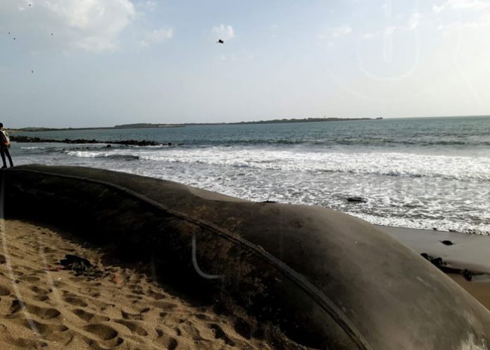 dique-corinto-01 nicaragua