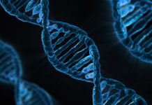 Clado X nueva epidemia que puede acabar con 900 millones de personas en el mundo estos unidos