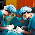 ¡Atención! nuevo método para desarrollar órganos para trasplantes metodo