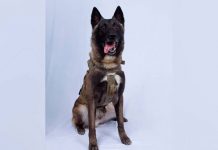 Donald Trump burla con una foto a un heroico perro del Ejército estados unidos