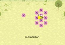 abejas