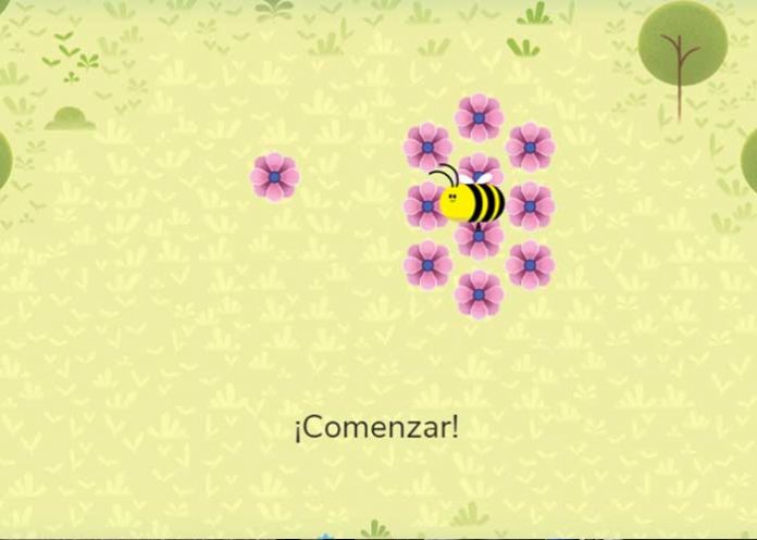 abejas