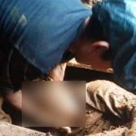 Número de muertos por depresión Eta continúa aumentando en Honduras honduras