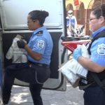 Operativo deja la incautación de una variedad de droga en Managua nicaragua