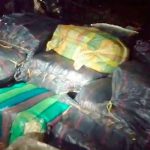 Dos ticos y un nica son capturados con 1.552 kilos de marihuana en Costa Rica costa rica