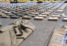 Denuncian que el Cártel de Sinaloa financia bandas criminales en Colombia