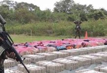 Bolivia: Decomisan 137 toneladas de cocaína y marihuana