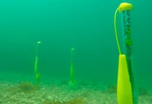 VIDEO: Impresionantes drones submarinos realizan estudios drones submarinos