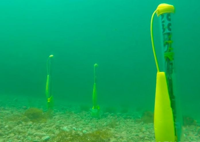 dronesub drones submarinos