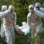 El riesgo de ébola podría aumentar con el calentamiento climático reino unido