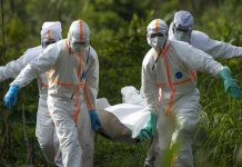 El riesgo de ébola podría aumentar con el calentamiento climático reino unido