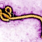 republica democratica del congo