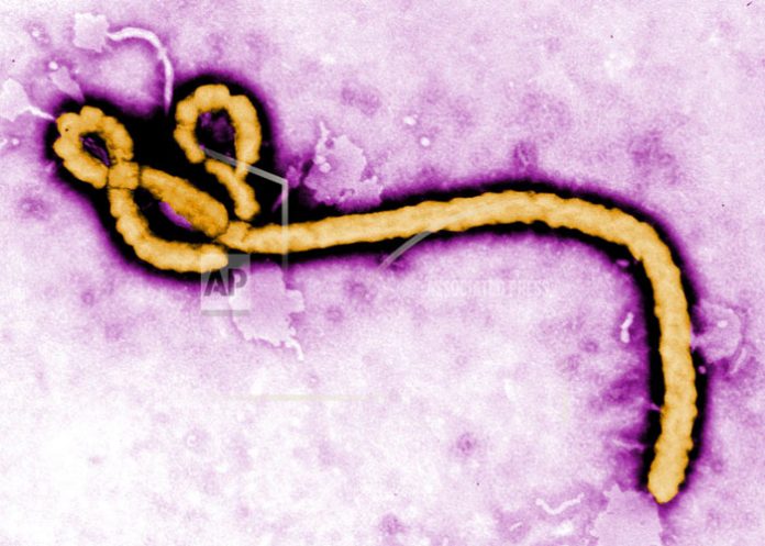 republica democratica del congo