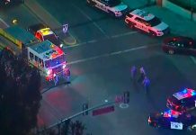 EE.UU: Confirman 13 muertos y varios heridos por tiroteo en California 12 muertos