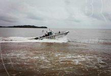 fuerza naval
