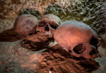 Descubren cementerio de sacerdotes en Egipto antiguedades de egipto