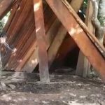 Ejército de Nicaragua ejecuta operativos en el Caribe Sur nicaragua