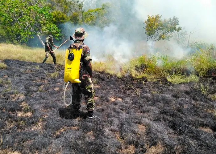 Ejército de Nicaragua cumple eficientes funciones en El Caribe nicaragua