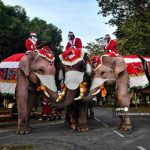 Elefantes vestidos como Santa Claus reparten mascarillas en Tailandia tailandia
