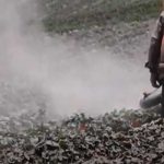 Lluvia de ceniza volcánica continúa afectando a cuatro provincias de Ecuador ecuador