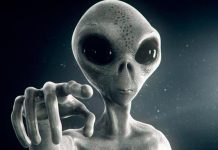 Efecto gorila cósmico podría impedir detectar señales extraterrestres efecto gorila
