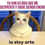 Enero ha sido eterno y estos memes lo demuestran mundo