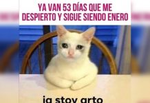 Enero ha sido eterno y estos memes lo demuestran mundo