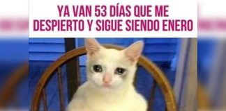mundo