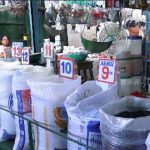 Sin alzas en los principales productos de la canasta básica nicaragua