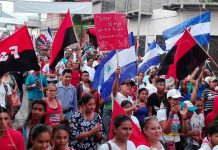 caminata por la paz