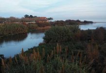 Policía española busca un bebé al que su padre lanzó a un río